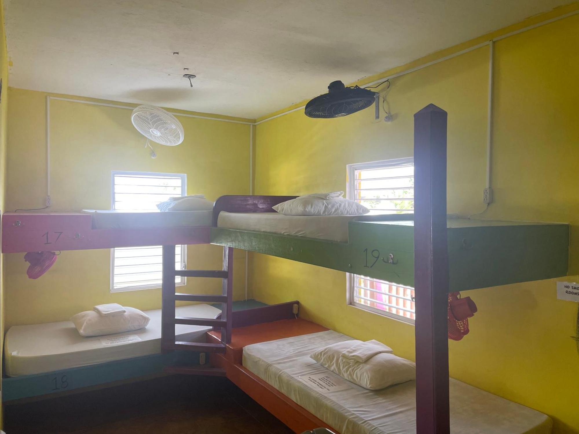 Travellers Palm Backpackers Hostel Caye Caulker Kültér fotó