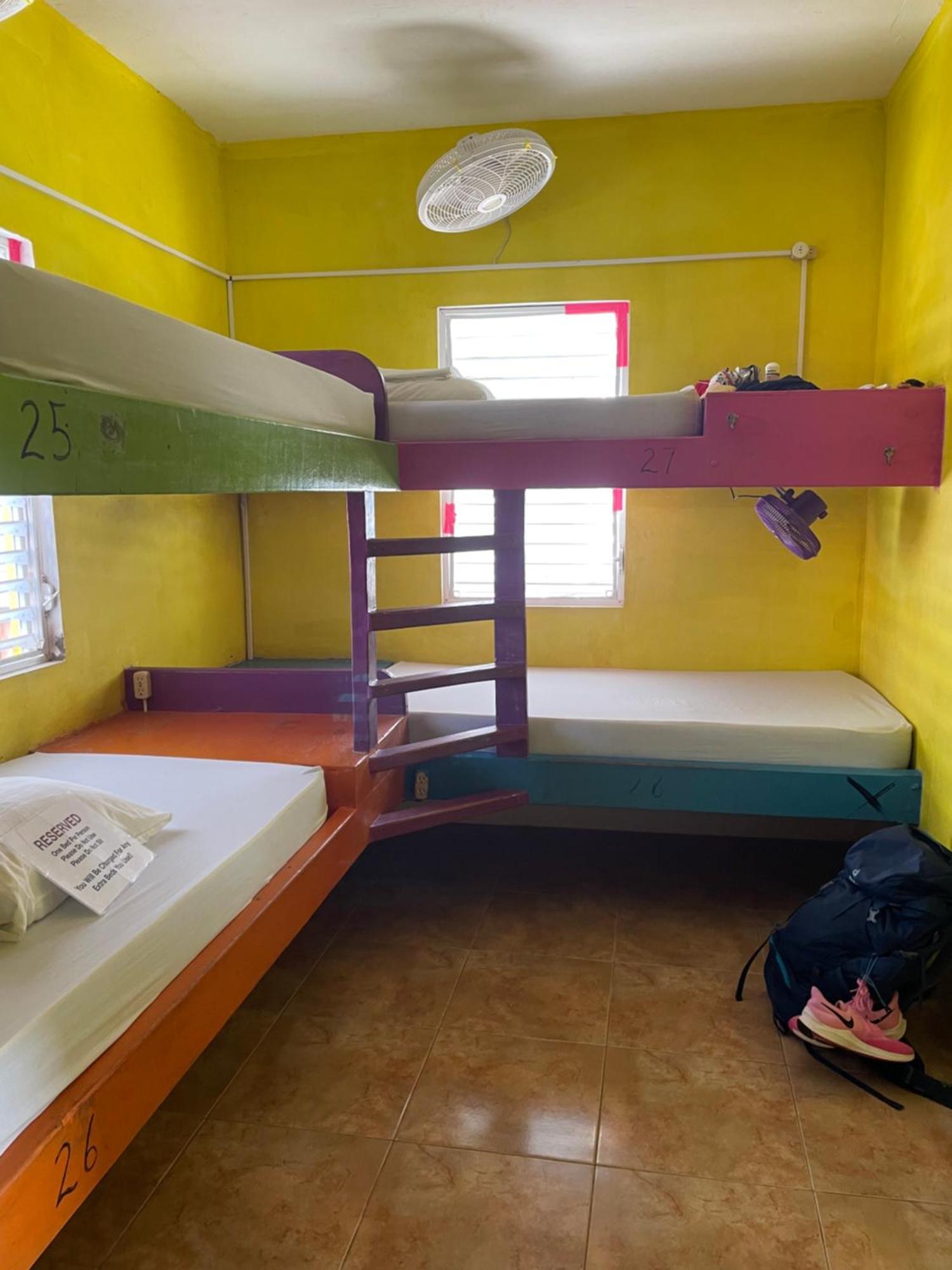 Travellers Palm Backpackers Hostel Caye Caulker Kültér fotó
